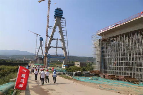 宝鸡市清溪渭河大桥主桥9 主塔顺利封顶