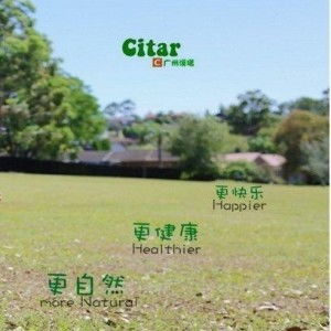 广州溪塔商贸发展