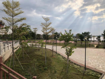 以绿美生态优势,激活“农旅+文旅”新动能