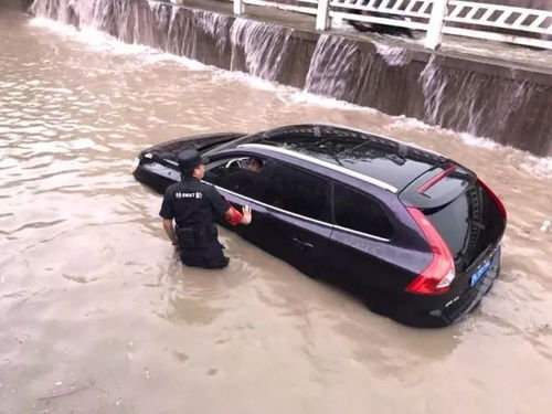 风雨中的安心守护