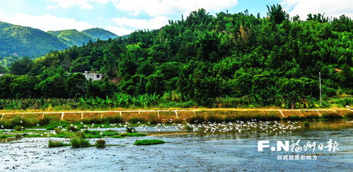绿水青山映溪塔——闽清推动生态文明建设迈上新台阶的生动实践