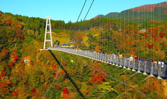 九州别府亲子一日游 两大主题乐园与自然奇观的完美结合